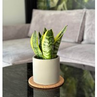 Кашпо Polnix 05.148.14