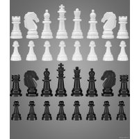 Шахматы/шашки Десятое королевство 03881 (бежевый)