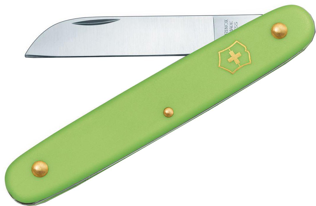 

Складной нож Victorinox Floral (зеленый)