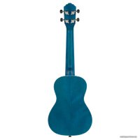 Укулеле Ortega Earth RUOCEAN