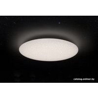 Светильник-тарелка Yeelight Ceiling Light A2001C450 YLXD032