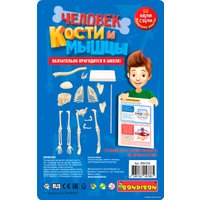 Набор для опытов Bondibon Японские опыты. Человек. Кости и мышцы ВВ4728