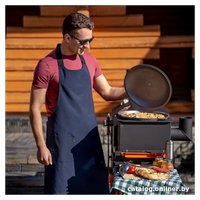 Мангал для дачи Helios Smart-1200 Люкс HS-GS-M1204-L