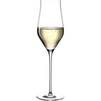 Набор бокалов для шампанского Leonardo Brunelli 066408-6 в Бресте