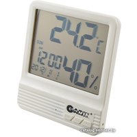 Термогигрометр Garin WS-3