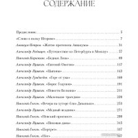 Набор книг издательства Альпина Диджитал. Полка. О главных книгах русской литературы (Сапрыкин Ю. и др.)