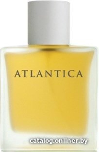 Туалетная вода Dilis Parfum Atlantica Taboo EdT 100 мл