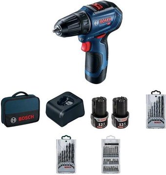 Bosch GSR 12V-30 Professional 06019G9001 (с 2-мя АКБ, сумка, набор оснастки)