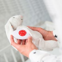 Музыкальная игрушка Zazu Биби