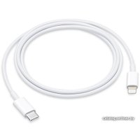 Кабель Apple USB 3.2 Gen2 Type-C - Lightning (1 м, белый)