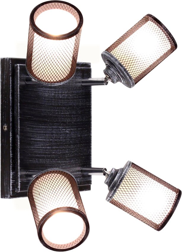 Спот Citilux Робин CL535541