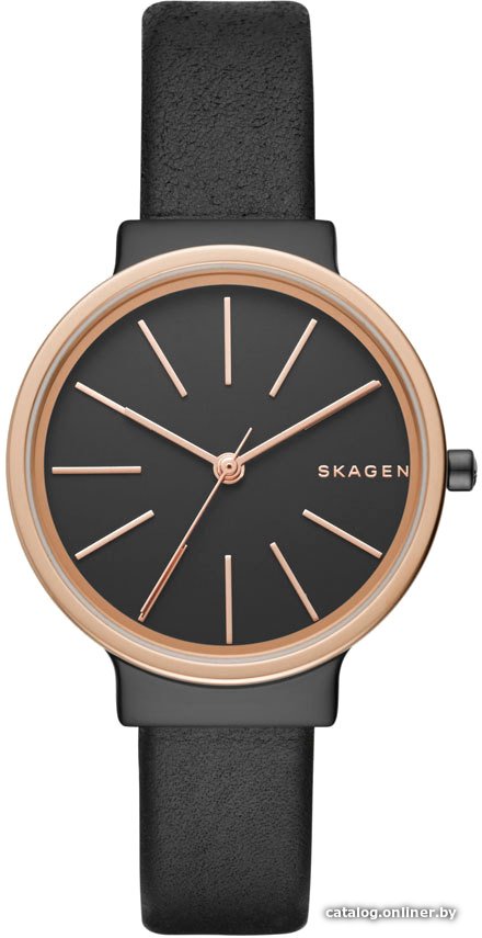 Наручные часы Skagen SKW2480