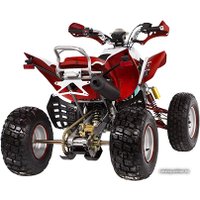 Квадроцикл IRBIS ATV 250S