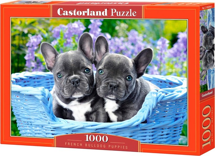 

Пазл Castorland Щенки французского бульдога