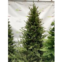 Ель GreenTerra Норвегия (2.5м)
