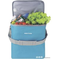 Термосумка БИОСТАЛЬ Кантри TCD-B 20л (лазурный)