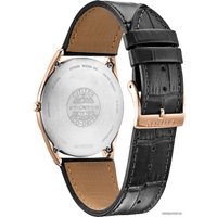 Наручные часы Citizen AR3073-06E