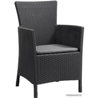 Кресло Allibert Iowa 17197853 (графит)