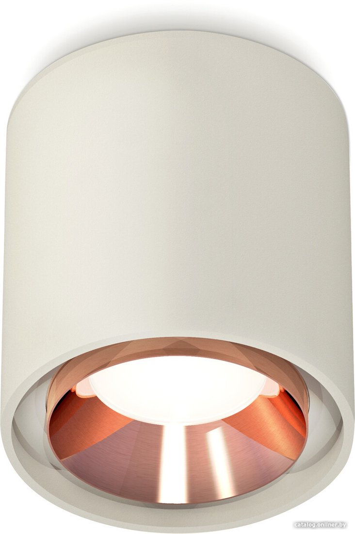 Припотолочная люстра Ambrella light Techno spot XS7724005 SGR/PPG