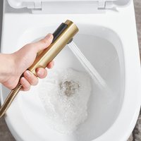 Гигиенический душ Shevanik S9905G-1