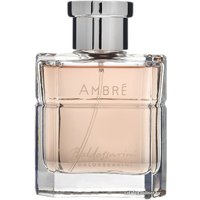Туалетная вода Baldessarini Ambre EdT (50 мл)