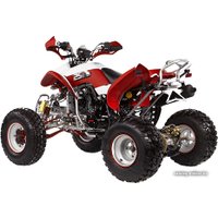 Квадроцикл IRBIS ATV 250S