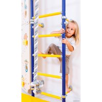 Детский спортивный комплекс Romana Next Skalolaz 01.21.8.06.490.03.00-24 + 6.08.00 (синий/желтый)