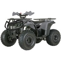 Квадроцикл Yacota Dragon One 125 (серый)