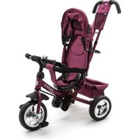 Детский велосипед Zigzag Classic 10/8 5588/33548 (бордовый)