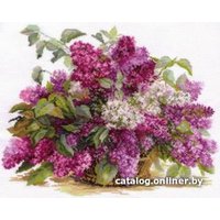Набор для вышивания Алиса Сирень 2-22