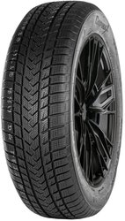 SureGrip eWinter 245/45R17 99V