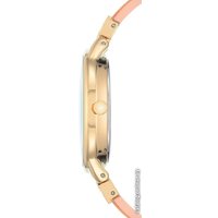 Наручные часы Anne Klein 1408LPLP