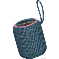 Беспроводная колонка Aiwa PAS-H100 (темно-синий) в Витебске