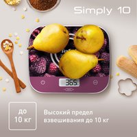 Кухонные весы Tefal BC8000V0