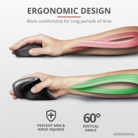 Вертикальная мышь Trust Verro Ergonomic Wireless Mouse