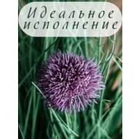 Искусственное растение Merry Bear Home Decor Микс трава-шнитт лук KD4090-55-22