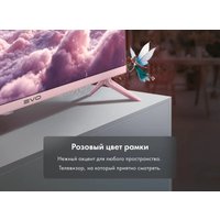 Телевизор Evo TV 24 Pink TD0055864RU