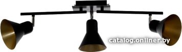 Спот Aitin Pro НПБ 02-3х60-101 C1003/3 (черный)