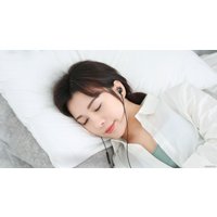 Наушники Xiaomi Dual Driver Earphones (черный)