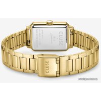 Наручные часы Cluse Fluette CW14001