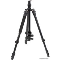 Трипод Raylab Pro 65 (с головой)