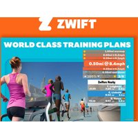 Электрическая беговая дорожка Titanium Masters Physiotech TLF