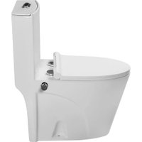 Унитаз напольный SantiLine SL-5012SM-BD