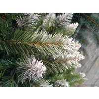 Ель GreenTerra канадская с белыми кончиками 2.2 метра