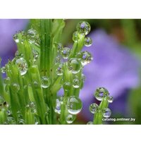 Фотоаппарат Olympus Tough TG-7 (черный)