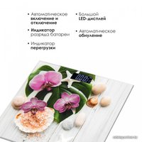 Напольные весы Atlanta ATH-6143