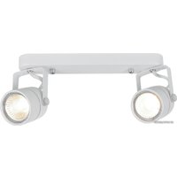 Припотолочная люстра Arte Lamp Lente A1310PL-2WH