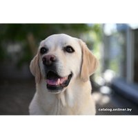 Объектив Nikon NIKKOR Z 28-75mm f/2.8