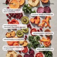 Сушилка для овощей и фруктов Meyvel MDH5-1P black