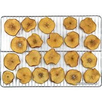 Сушилка для овощей и фруктов Status Fruit Veget Dehydrator 30 л